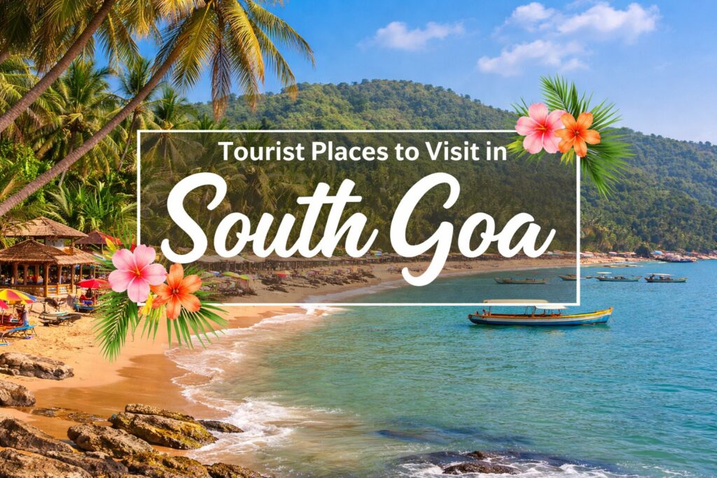 south top beach places in goa